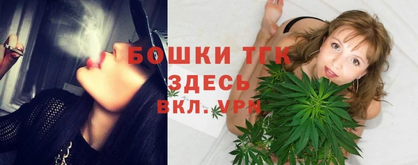 прущая мука Вяземский