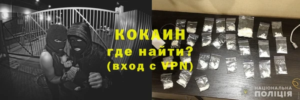 прущая мука Вяземский