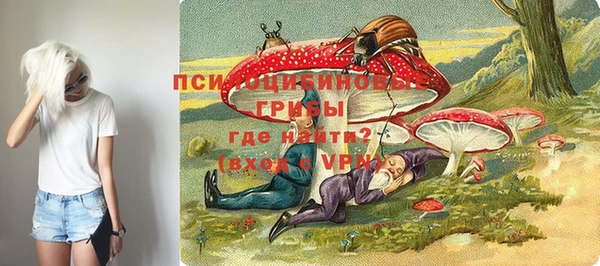 шишки Горняк
