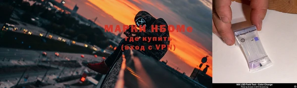 шишки Горняк