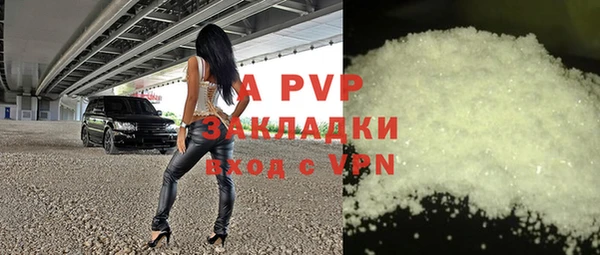 шишки Горняк