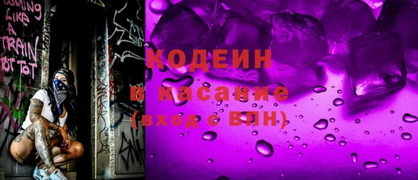 шишки Горняк