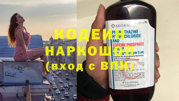 шишки Горняк