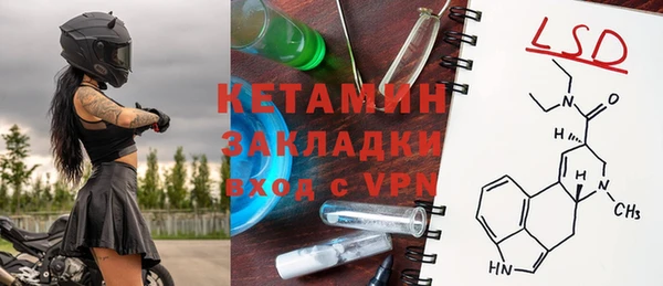 шишки Горняк
