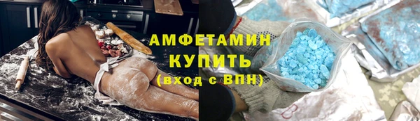 шишки Горняк