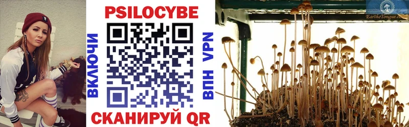 Галлюциногенные грибы MAGIC MUSHROOMS  Кызыл 
